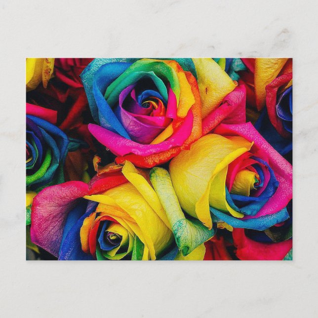 Rose Rainbow Postcard (Front)