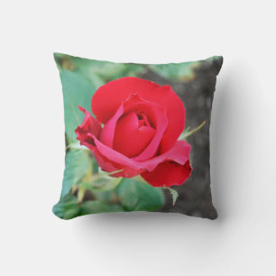 Rose Red Cushion