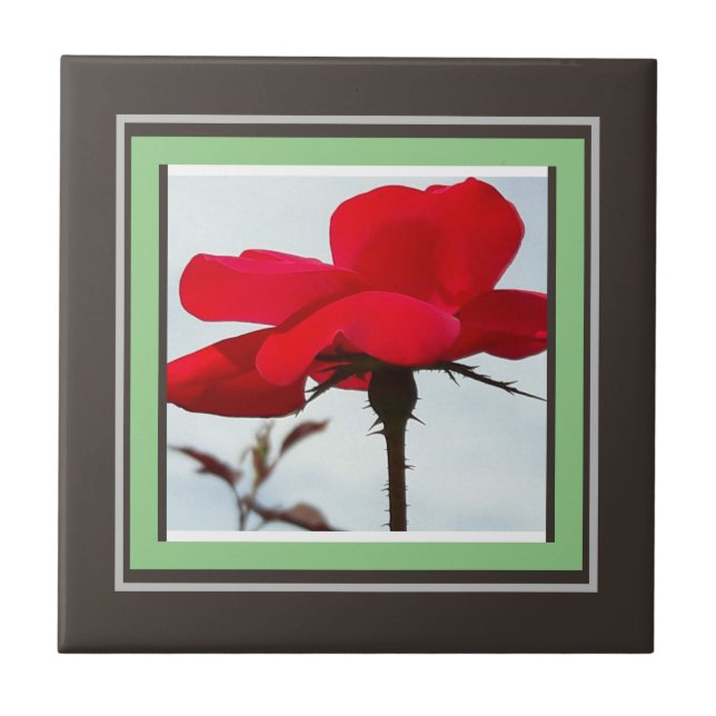 rose red tile (Front)