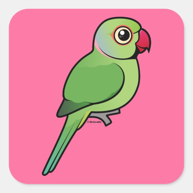 Rose-ringed Parakeet Square Sticker (Front)