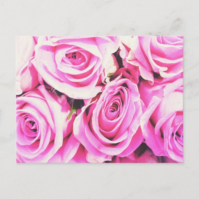 rose roses pink bunch flowers card Postcard (Front)