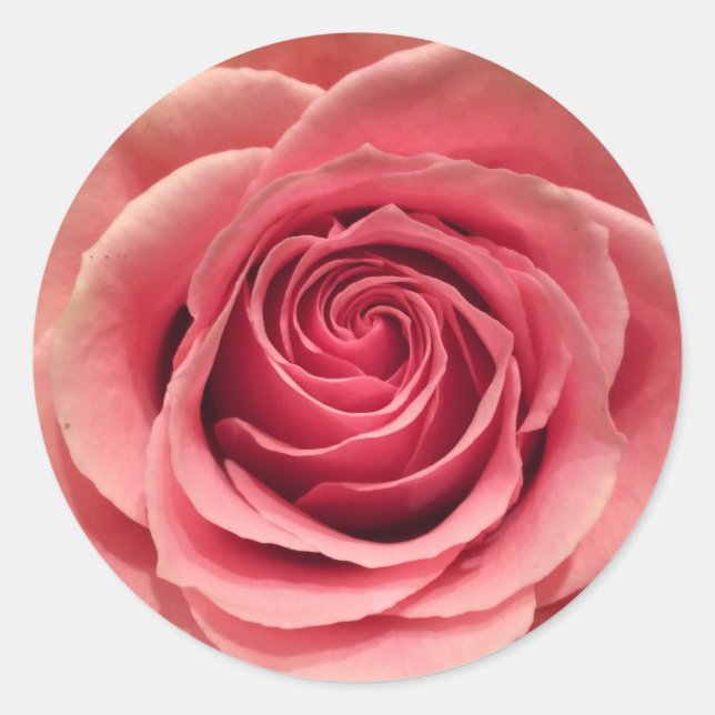 Rose Round Shape Stickers (Front)
