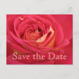 Rose Save the date 60th Birthday Celebration - Announcement Postcard