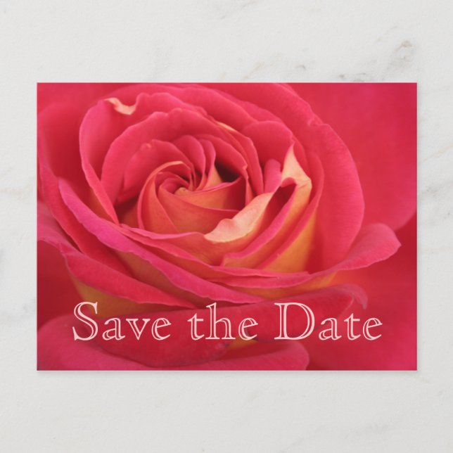 Rose Save the date 65th Birthday Celebration - Announcement Postcard (Front)