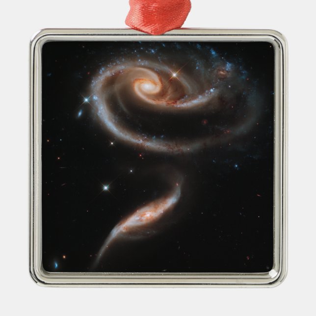 Rose Spiral Galaxies Metal Tree Decoration (Front)