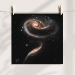 Rose Spiral Galaxies Poster