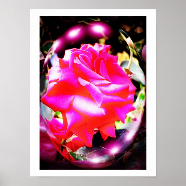 Rose spirits poster (Front)