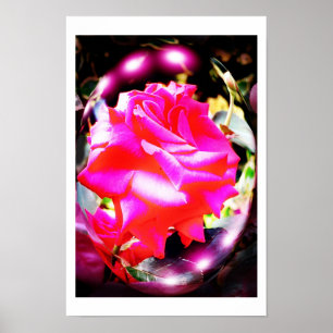 ROSE SPIRITS POSTER
