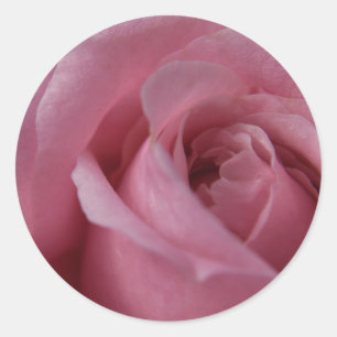 Rose Sticker