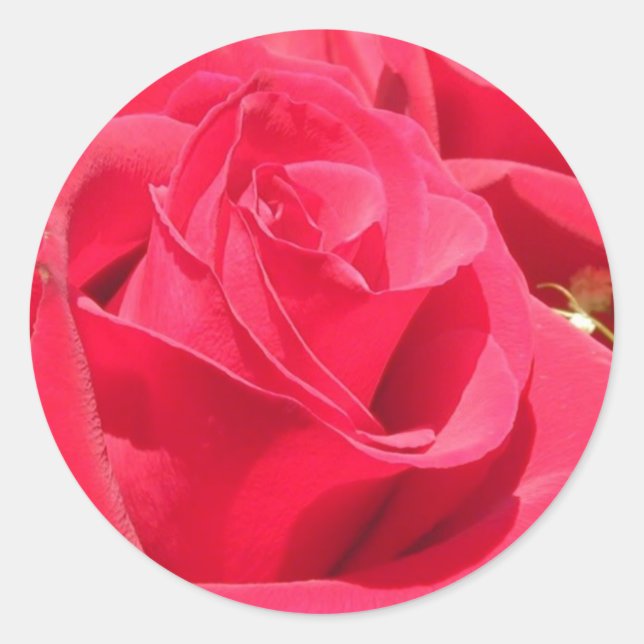 Rose Stickers and Envelope Seals (Front)