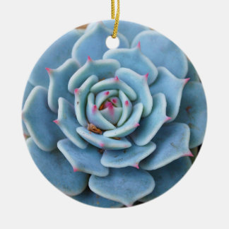Rose Succulent Ornament