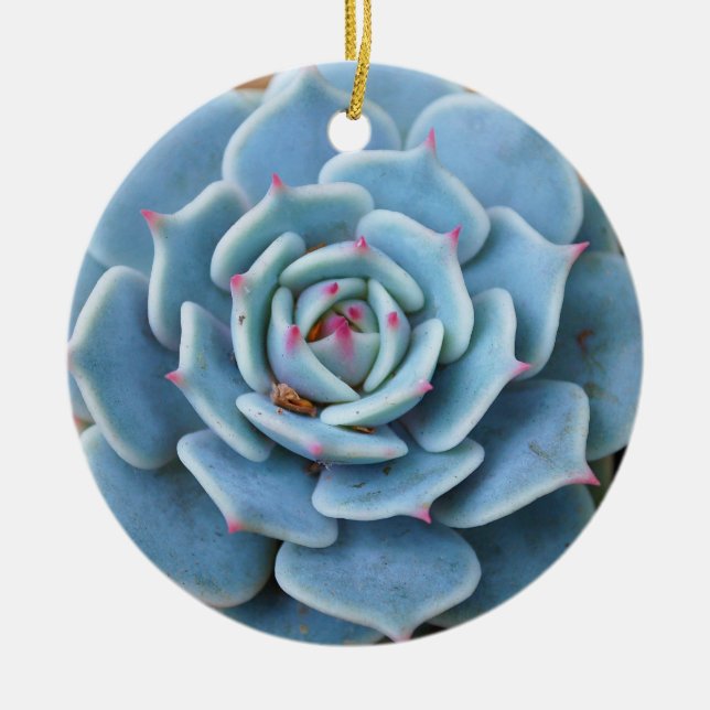 Rose Succulent Ornament (Front)