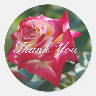 Rose Thank You Classic Round Sticker