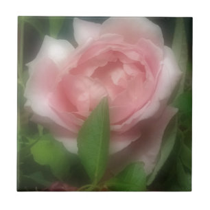 Rose Tile