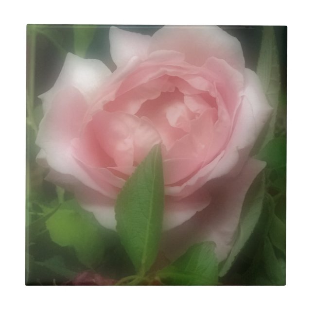 Rose Tile (Front)