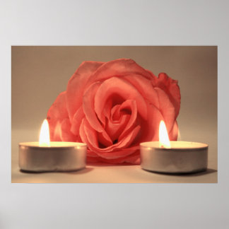 rose two candles pink floral photo poster