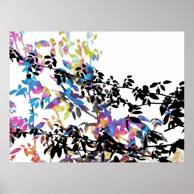 Rose Vine Poster (Front)