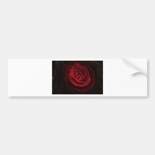 Rose Vines Heart Pattern Flower Peace Love Destiny Bumper Sticker (Front)