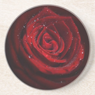 Rose Vines Heart Pattern Flower Peace Love Destiny Coaster