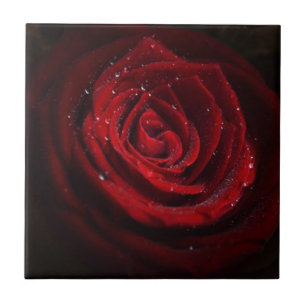 Rose Vines Heart Pattern Flower Peace Love Destiny Tile