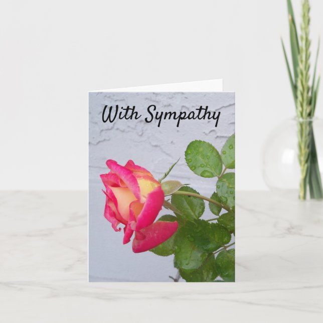 Rose with rain drops on a Sympathy card (Front)