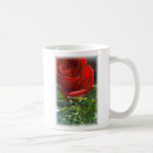 Rose with star Coffee cup