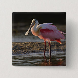 Roseate Spoonbill, Ajaia ajaja, Ding Darling 15 Cm Square Badge