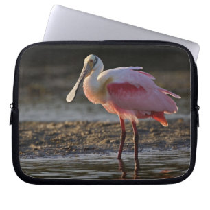 Roseate Spoonbill, Ajaia ajaja, Ding Darling Laptop Sleeve