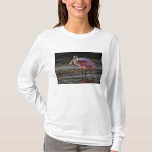 Roseate Spoonbill, Ajaia ajaja, Ding Darling T-Shirt