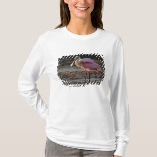 Roseate Spoonbill, Ajaia ajaja, Ding Darling T-Shirt