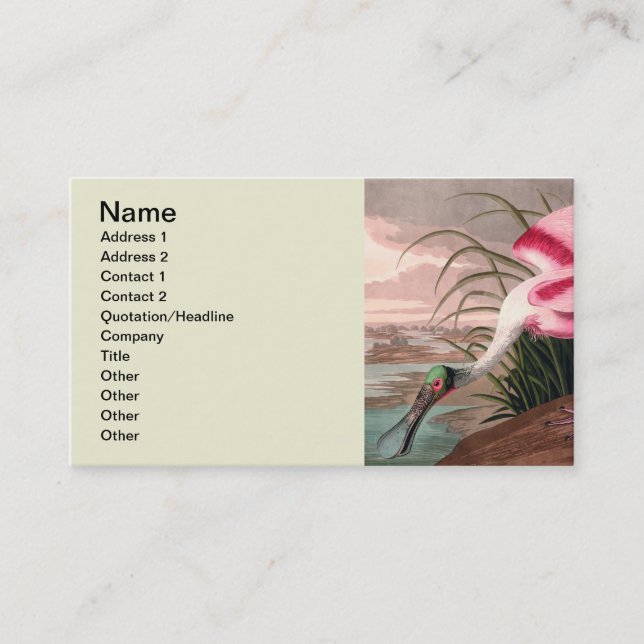 Roseate Spoonbill Audubon Bird Wildlife Business Card (Front)