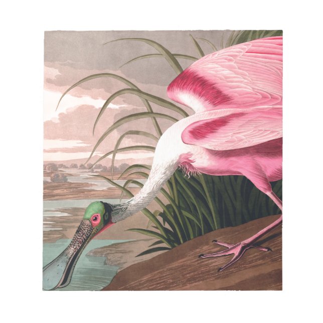 Roseate Spoonbill Audubon Bird Wildlife Notepad (Front)