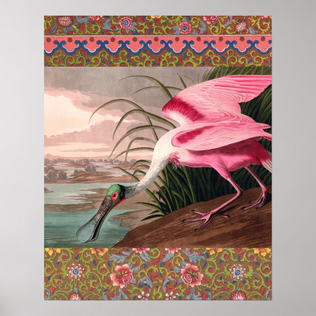 Roseate Spoonbill Audubon Bird Wildlife Poster (Front)