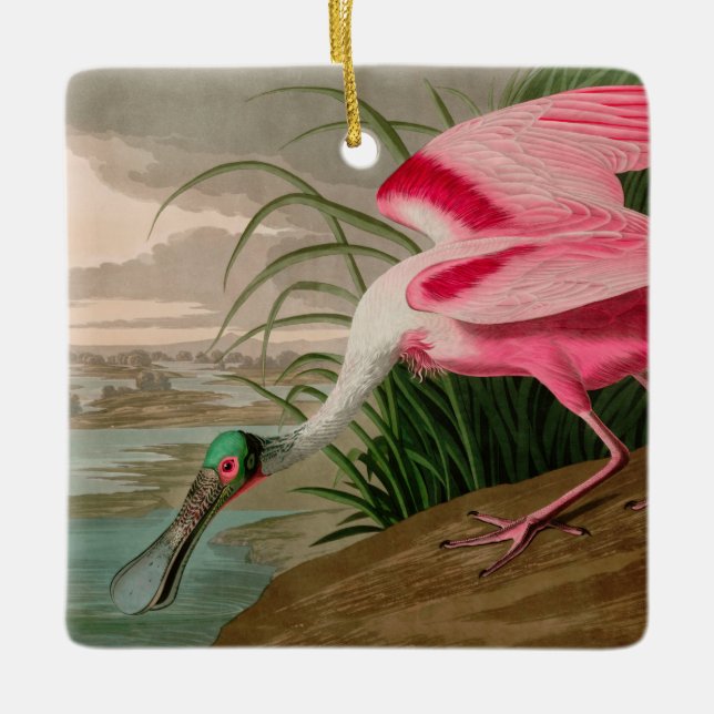 Roseate Spoonbill Birds of America Audubon Print Ceramic Ornament (Front)