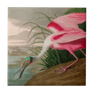 Roseate Spoonbill Birds of America Audubon Print Tile