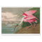 Roseate Spoonbill Birds of America Audubon Print