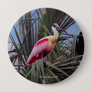 Roseate Spoonbill button