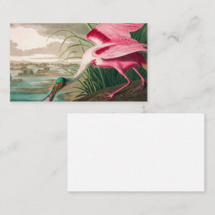 Roseate Spoonbill by John James Audubon Business Card