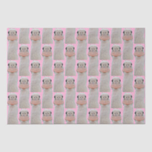 Roseate Spoonbill Chick Tissue Paper