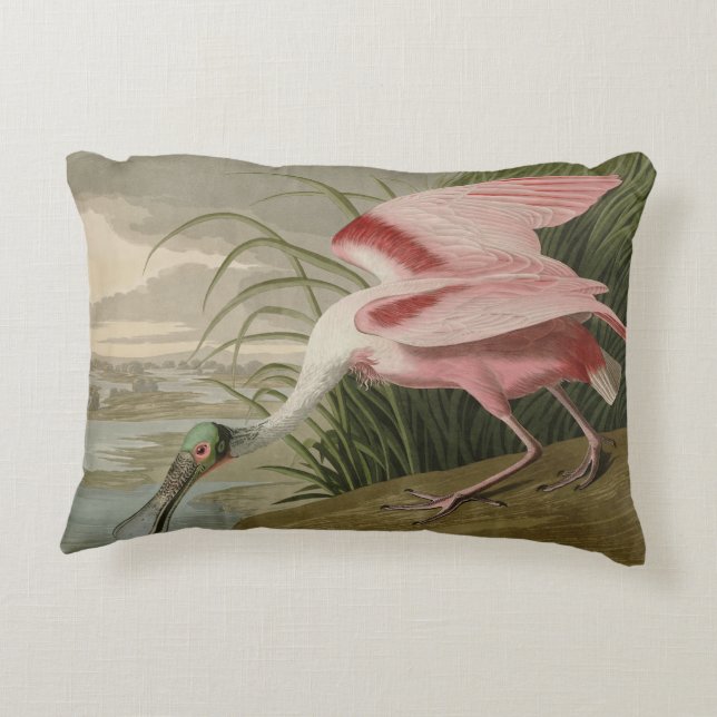Roseate Spoonbill from Audubon's Birds of America Decorative Cushion (Back)