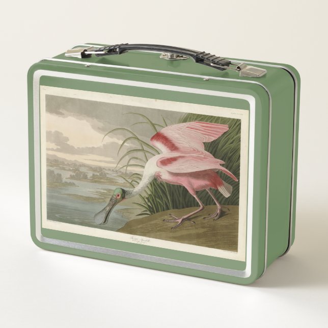 Roseate Spoonbill from Audubon's Birds of America Metal Lunch Box (Back)