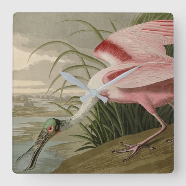 Roseate Spoonbill from Audubon's Birds of America Square Wall Clock (Front)