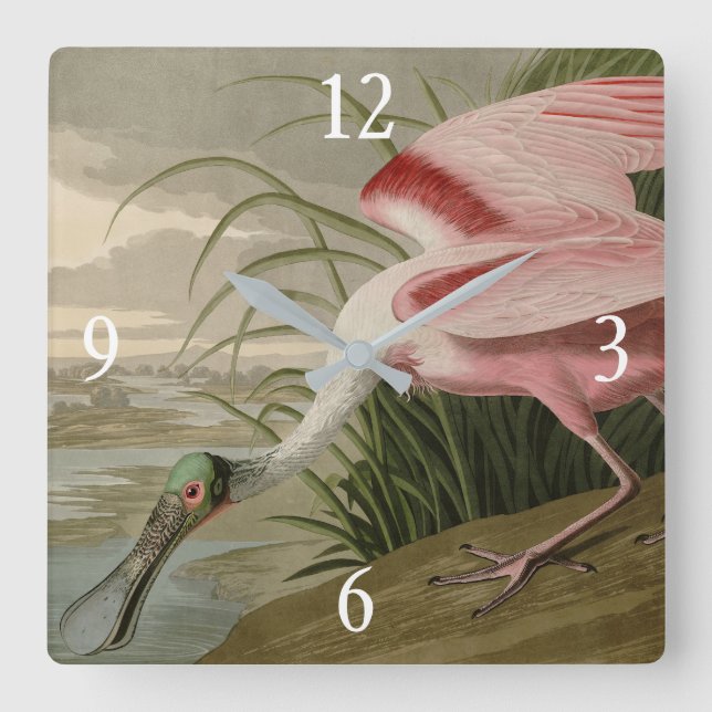 Roseate Spoonbill from Audubon's Birds of America Square Wall Clock (Front)