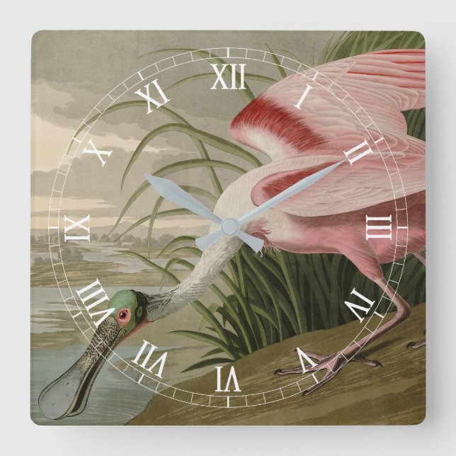 Roseate Spoonbill from Audubon's Birds of America Square Wall Clock (Front)