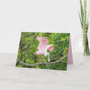 Roseate Spoonbill Greeting Card