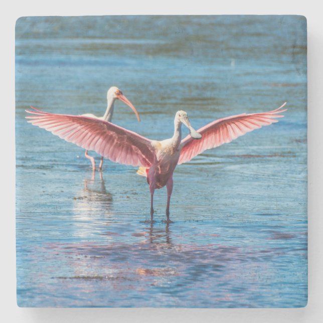 Roseate Spoonbill Marble Stone Coaster (Front)