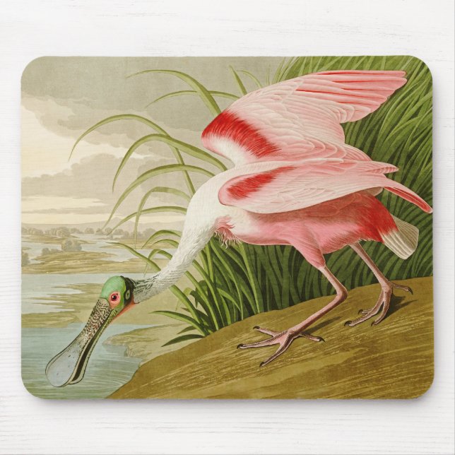 Roseate Spoonbill Mousepad (Front)
