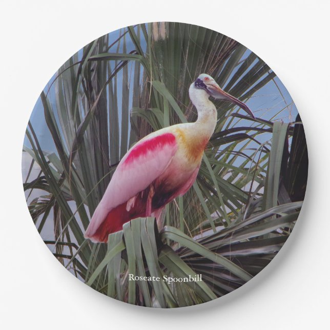 Roseate Spoonbill paper plate (Front)