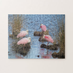 Roseate Spoonbill Spoonbills Pink Water Bird Jigsaw Puzzle