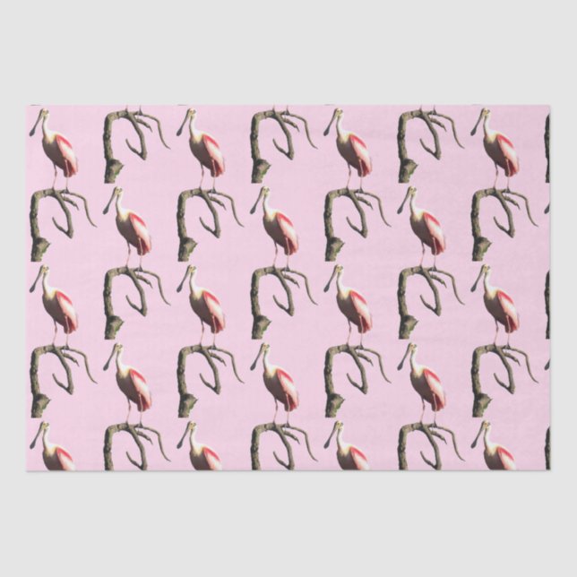 Roseate Spoonbill Tissue Paper (Front)